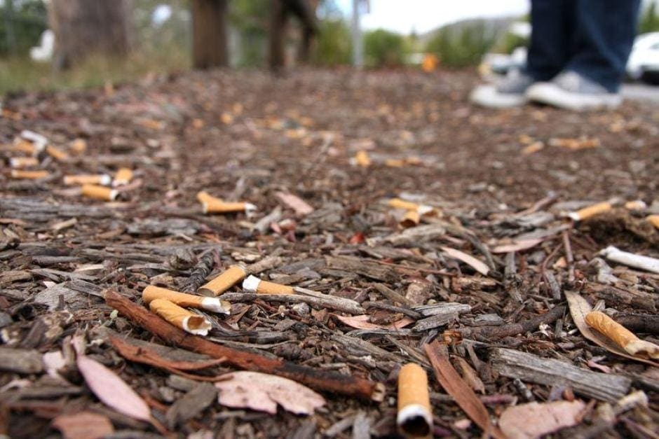 DID YOU KNOW? Cigarette Littering Facts Video