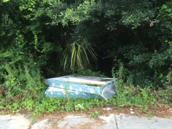 Mattress in the Woods?